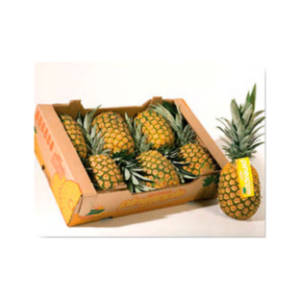 Pineapples / Ananas