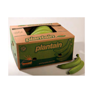 Green Plantain
