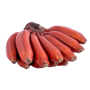 Red Macabu