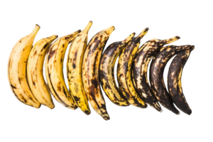 Yellow Plantain